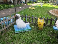 �����������